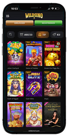 Wildsino casino