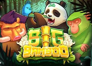 Allgemeine Informationen über Big Bamboo Spielautomat