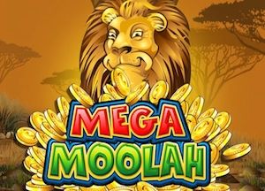 Allgemeine Informationen über Mega Moolah Spielautomat