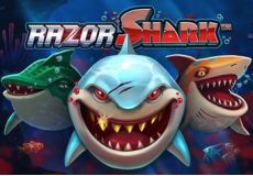 Razor Shark
