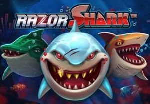 Allgemeine Informationen über Razor Shark Spielautomat