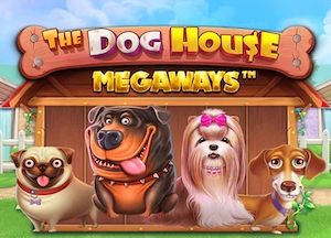 Allgemeine Informationen über The Dog House Megaways Spielautomat
